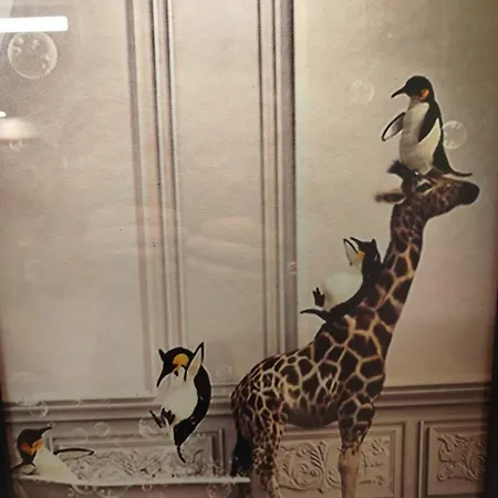 Vieille Stanislas Lejlighed Nancy