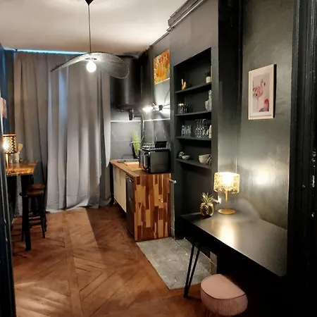Vieille Stanislas Apartmán Nancy