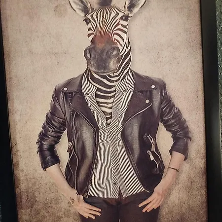 Lejlighed Vieille Stanislas