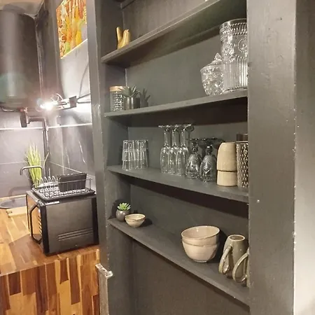 Vieille Stanislas Lejlighed