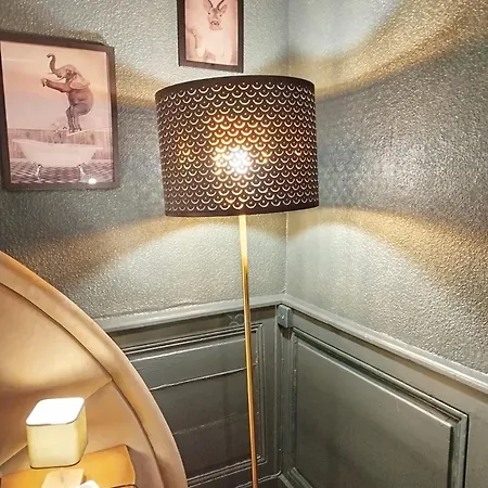 Vieille Stanislas Apartment Nancy