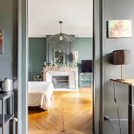 Vieille Stanislas Apartment Nancy
