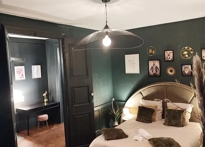 Vieille Stanislas Apartmán Nancy