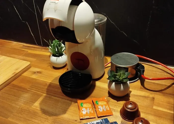 公寓 Vieille Stanislas *