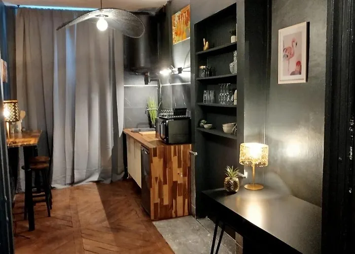 Vieille Stanislas Apartmán Nancy