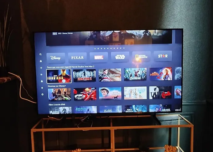 Vieille Stanislas 公寓