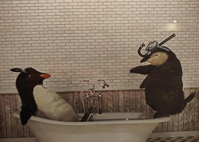 Vieille Stanislas Apartmán *