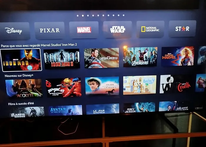 Vieille Stanislas Apartmán Nancy