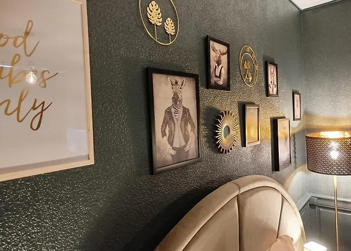 Vieille Stanislas Apartmán Nancy