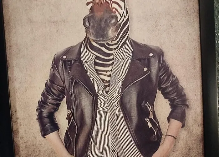 Apartmán Vieille Stanislas