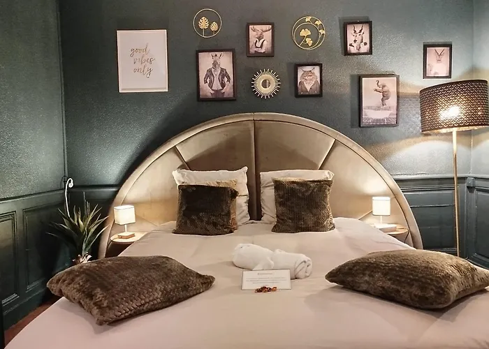 Apartmán Vieille Stanislas *