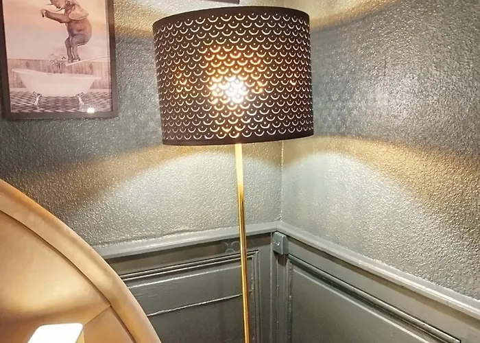 Vieille Stanislas 公寓 南锡